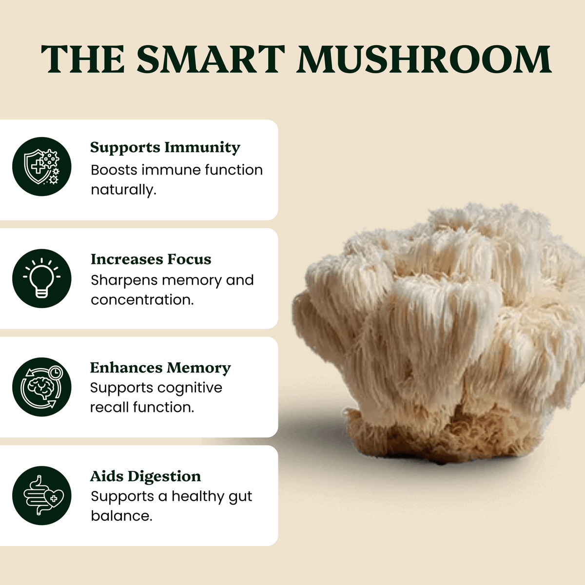 Ancient Extracts - Mindful Pair Lion's Mane & Reishi Extracts