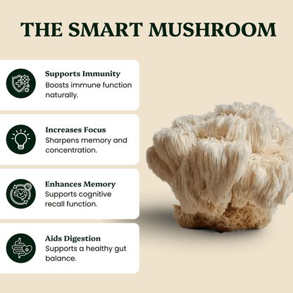 Ancient Extracts - Mindful Pair Lion's Mane & Reishi Extracts