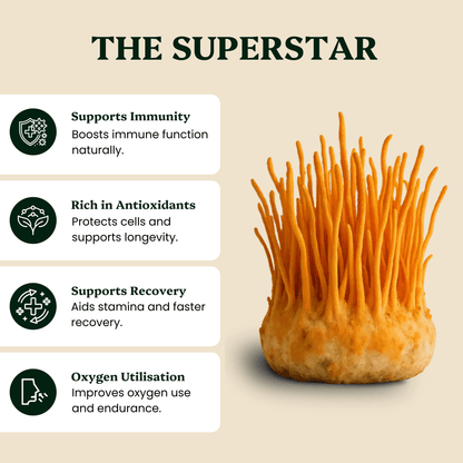 Ancient Extracts - Energy Pair Cordyceps & Chaga Extracts