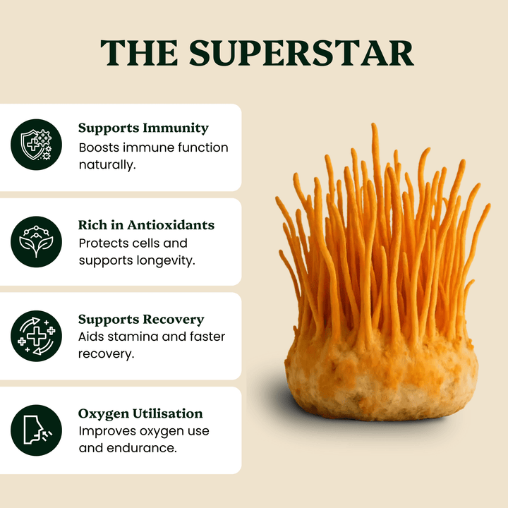 Ancient Extracts - Energy Pair Cordyceps & Chaga Extracts