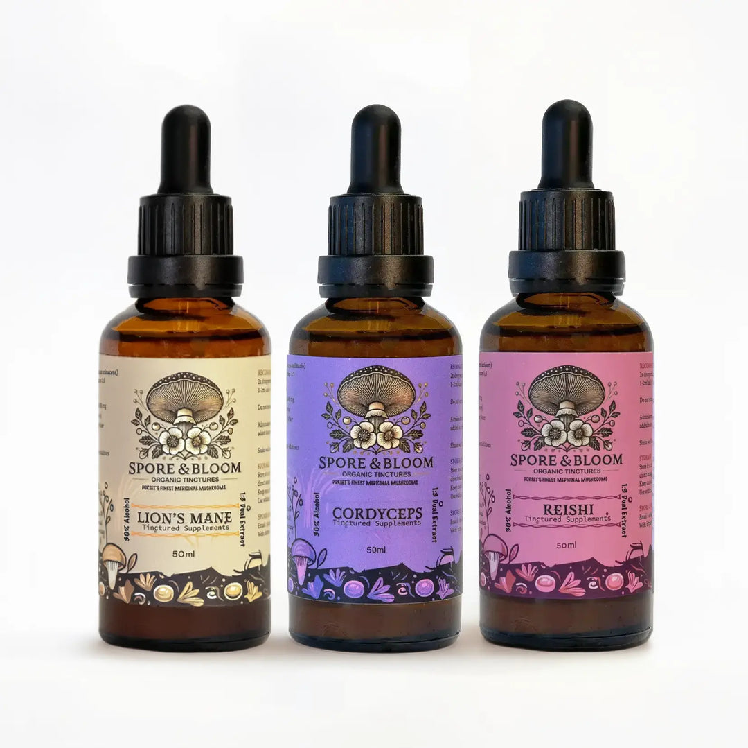 Spore & Bloom - Full Ritual Stack – Lion’s Mane, Cordyceps & Reishi