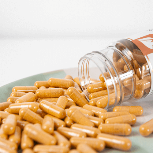 Short Dated Bioactive Vitamin B Complex Capsules x 120 | Inositol Choline & PABA