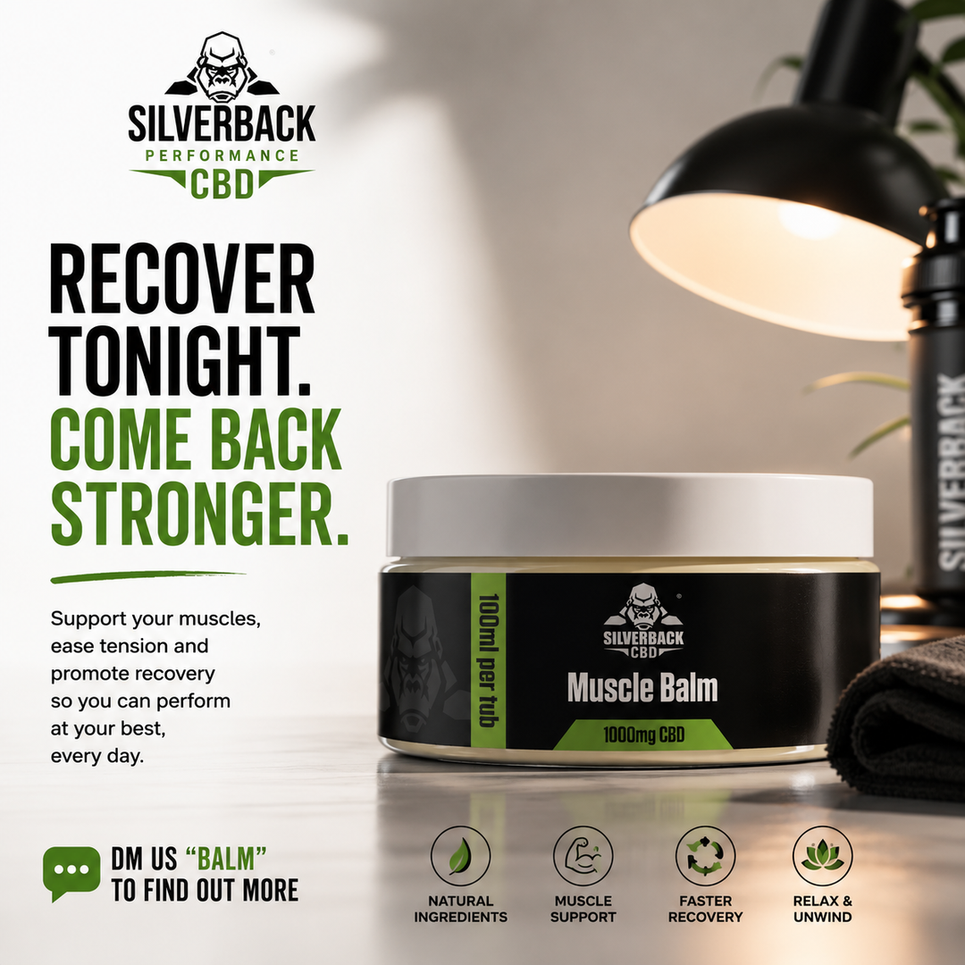 SILVERBACK CBD 1000MG CBD MUSCLE BALM
