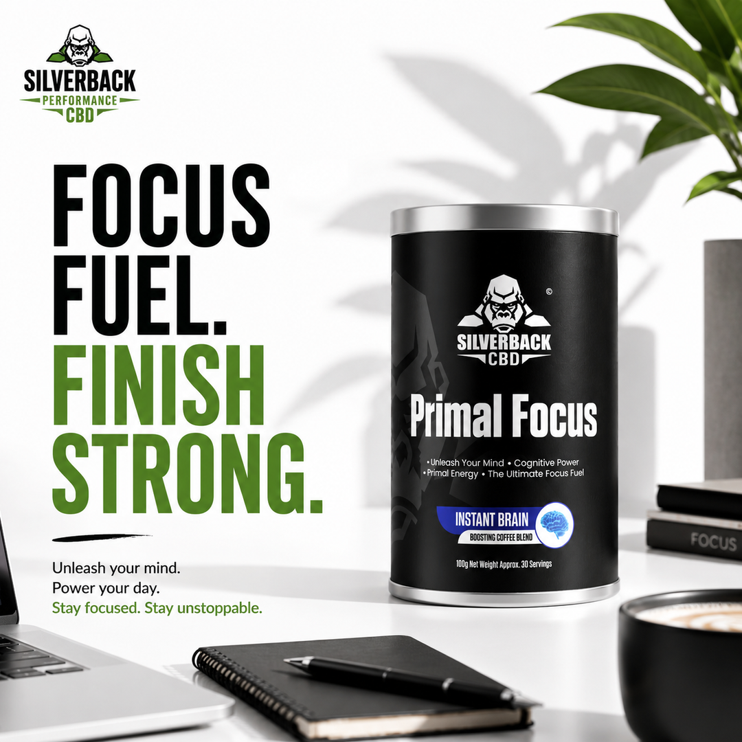 SILVERBACK CBD PRIMAL FOCUS  – ELITE NOOTROPIC COFFEE