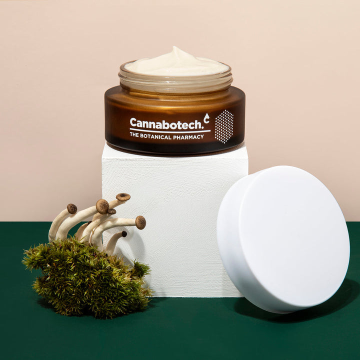 Anti Aging Cream 50ML | CBD Face Cream