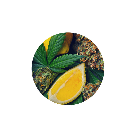 Improved Health Botanical Derived Terpenes – Steam Distilled for Pure, Strain-Specific Flavors | 1ml