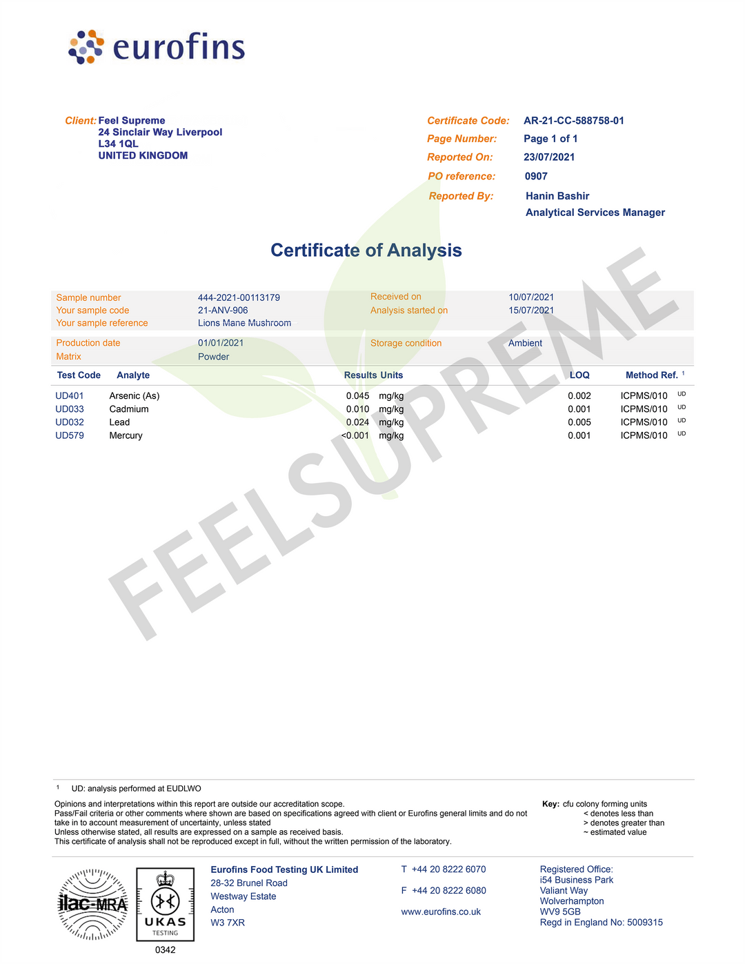Feel Supreme - Lion's Mane Mushroom Extract (60ml Liquid Tincture)