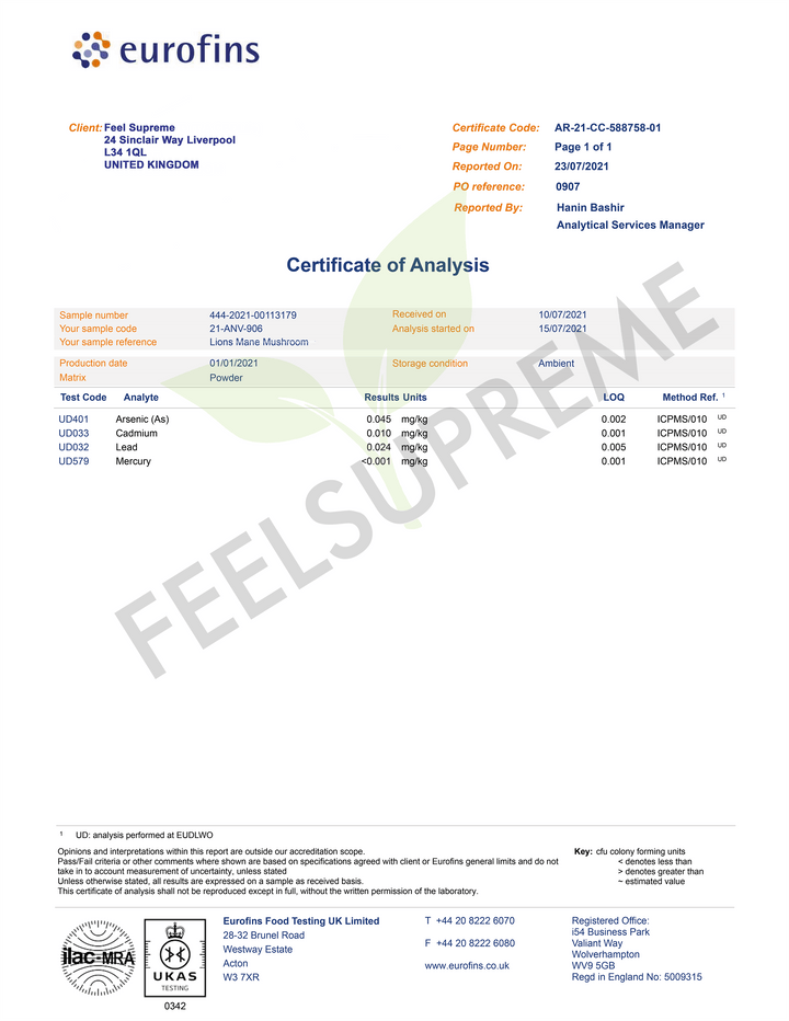 Feel Supreme - Lion's Mane Mushroom Extract (60ml Liquid Tincture)