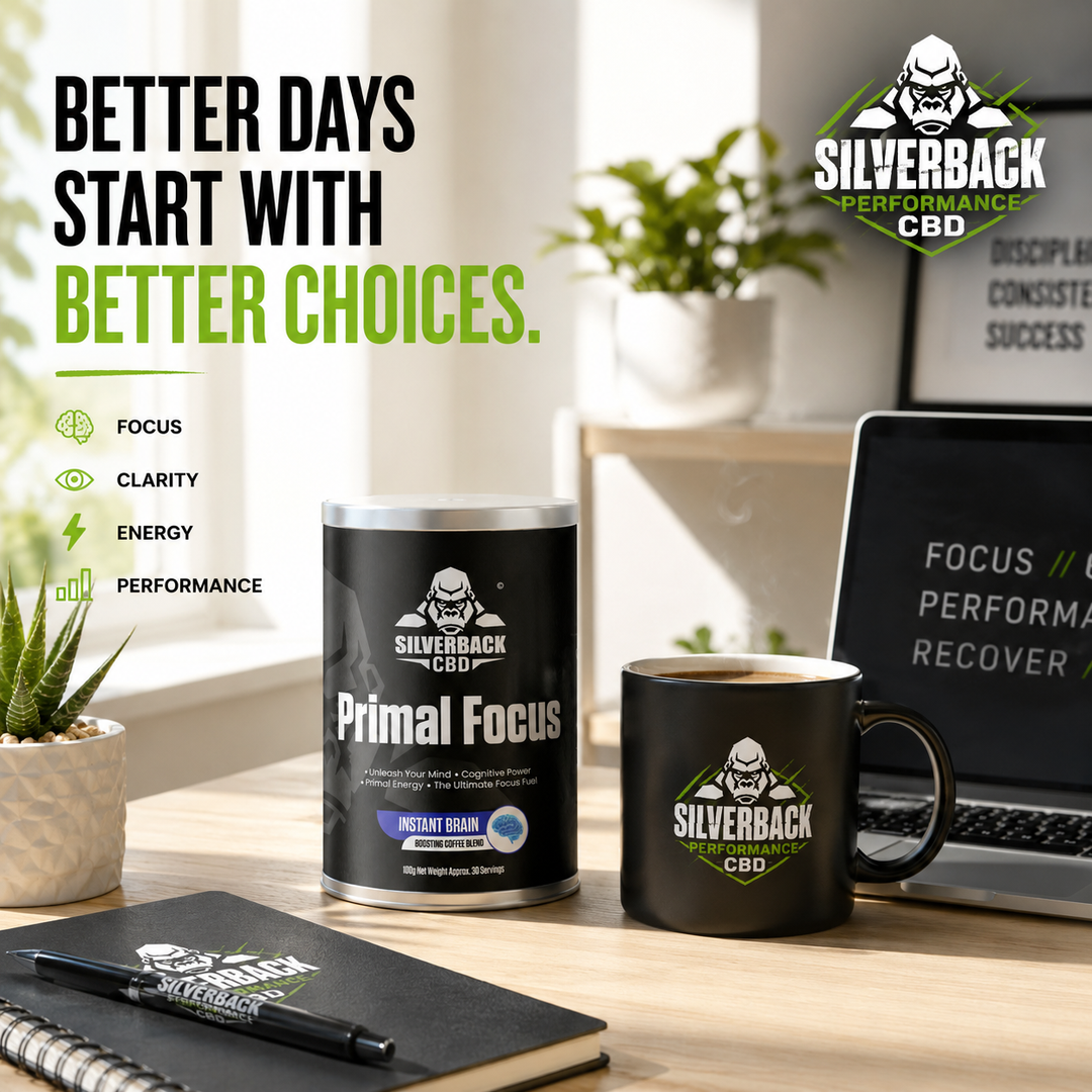 SILVERBACK CBD PRIMAL FOCUS  – ELITE NOOTROPIC COFFEE
