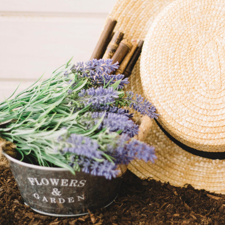 The Positive Company - Organic Solid Shampoo - Lavender & Rosemary