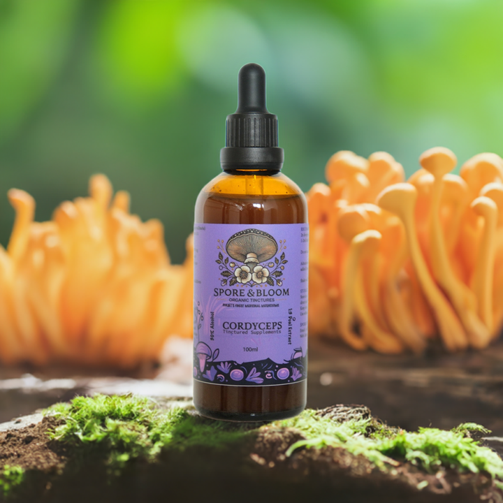 Spore & Bloom - Full Ritual Stack – Lion’s Mane, Cordyceps & Reishi