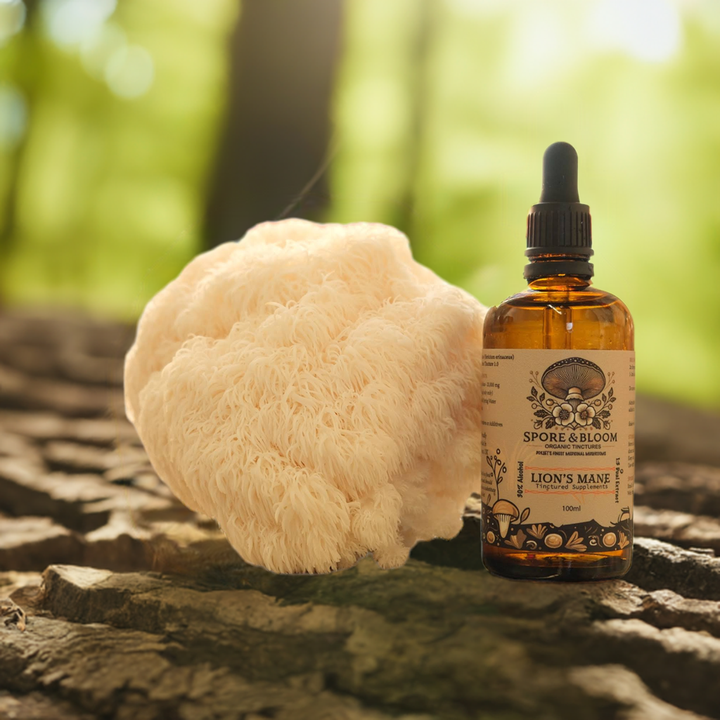Spore & Bloom - Full Ritual Stack – Lion’s Mane, Cordyceps & Reishi
