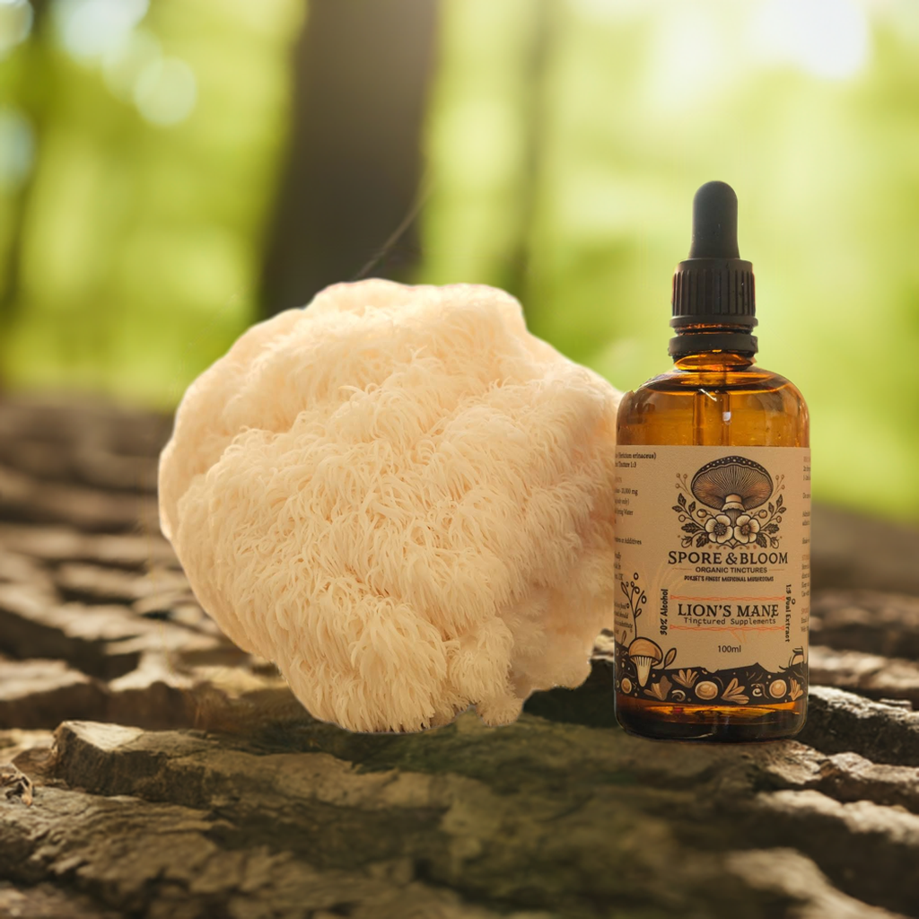Spore & Bloom - Lion’s Mane Extract – Focus & Clarity
