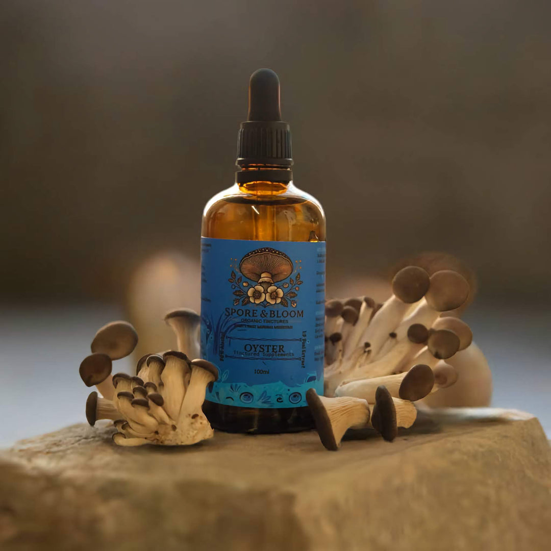 Balance Stack – Oyster & Reishi