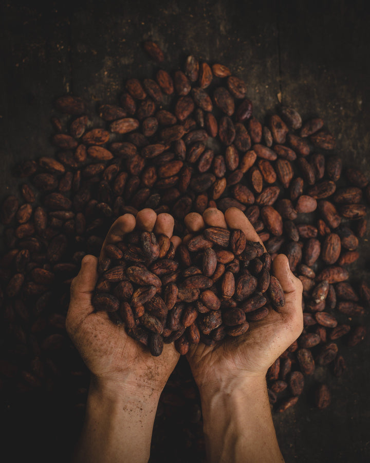 Peruvian Ceremonial Criollo Cacao