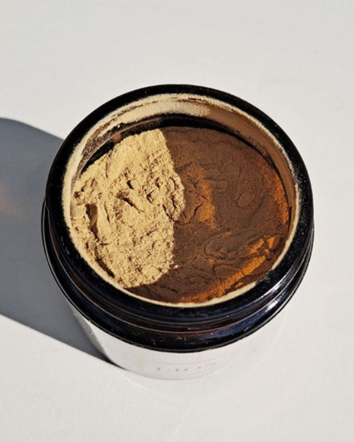 The Positive Company - Reishi Mushroom Extract Powder