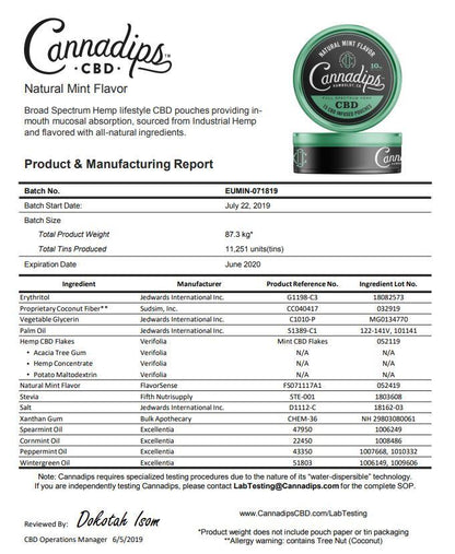 Cannadips 150mg CBD Snus Pouches - Natural Mint - SilverbackCBD