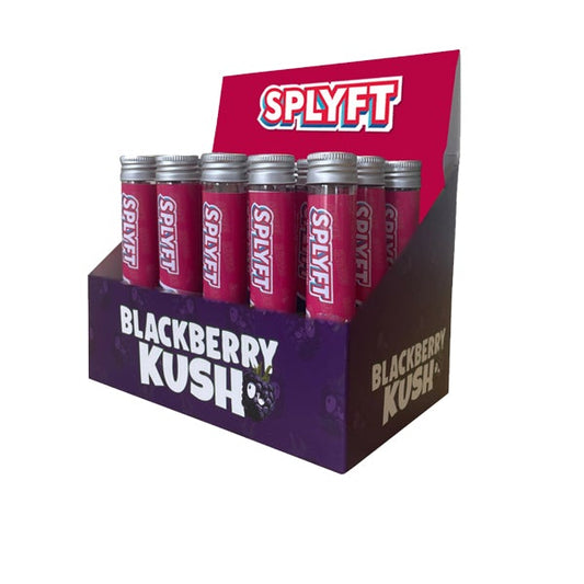 SPLYFT Cannabis Terpene Infused Rolling Cones – Blackberry Kush (BUY 1 GET 1 FREE) - Amount: x15 (Display Box) - SilverbackCBD